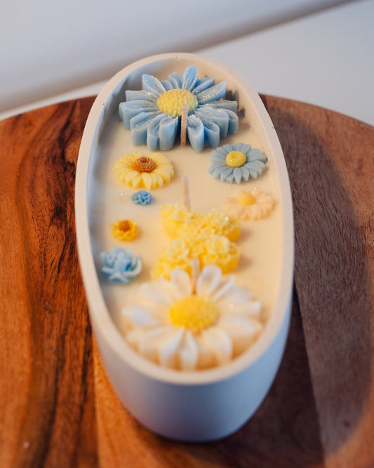 Daisy Dreams - Blend