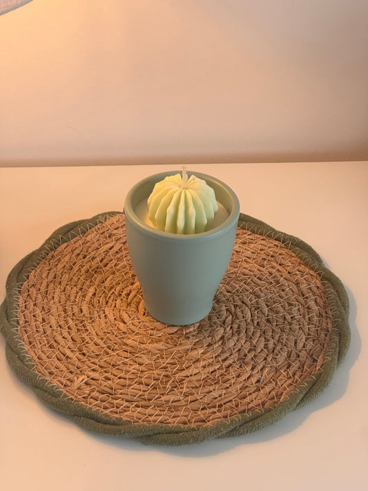 Cactus - Blend